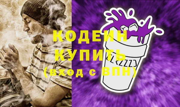 скорость Каменка