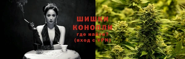 мдпв Каменногорск