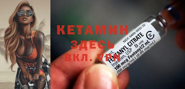 сатива Инсар
