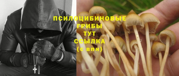 не бодяженный Инта