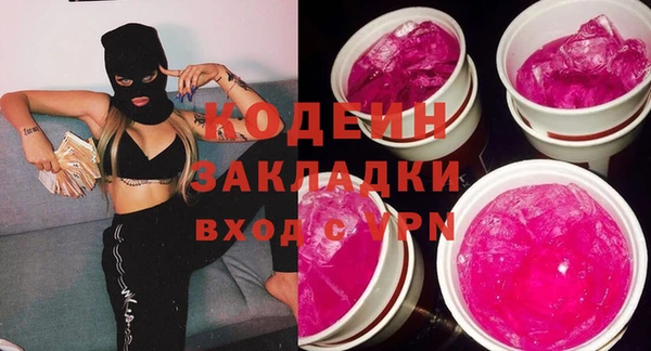 сатива Инсар