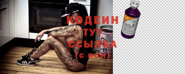 сатива Инсар
