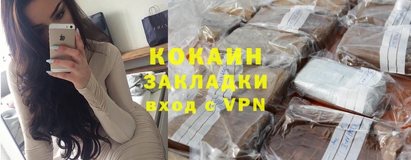 сатива Инсар