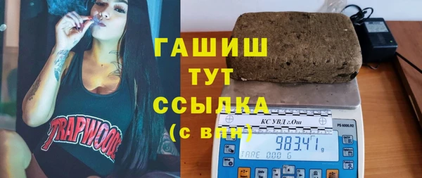 мдпв Каменногорск