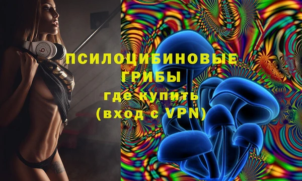 сатива Инсар