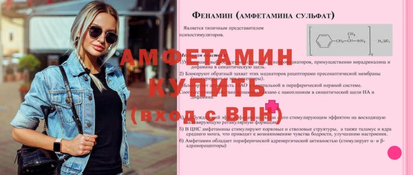 сатива Инсар