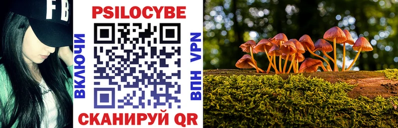 omg ТОР  Кудымкар  Псилоцибиновые грибы мухоморы  магазин  наркотиков 