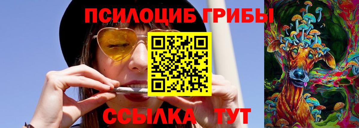 Галлюциногенные грибы Psilocybe  Псилоцибиновые грибы мицелий  Вход с VPN  Кудымкар 