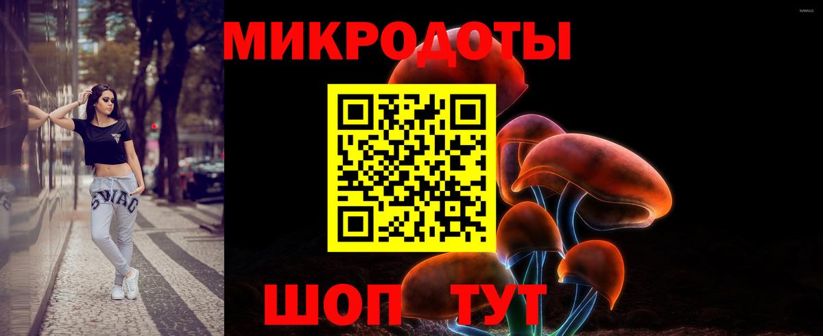 Галлюциногенные грибы прущие грибы Кудымкар